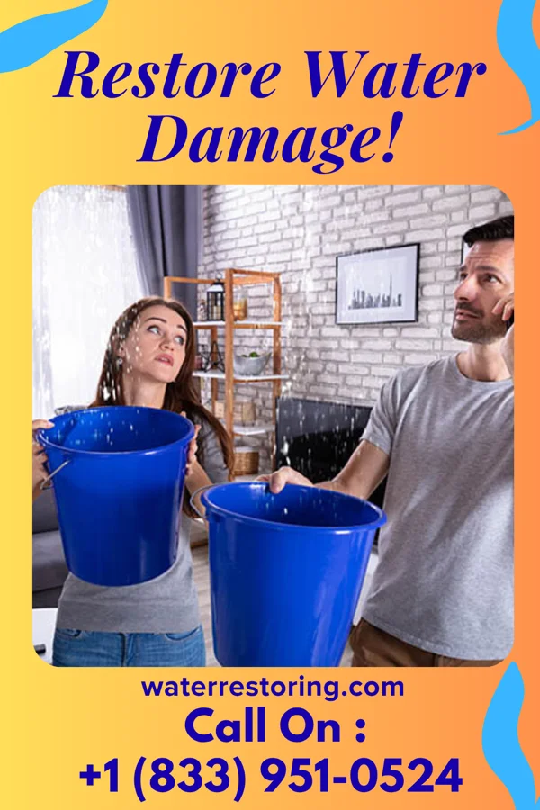 water restoration Heritage Restoration Solutions Brothers Hornsby