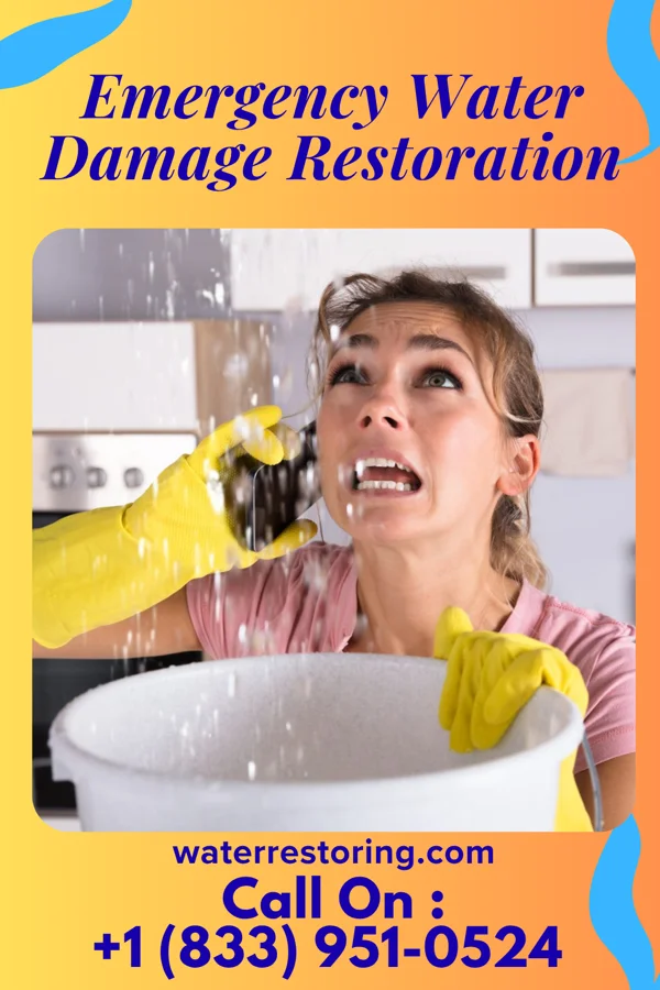 Emergency Water Damage Restoration in Hornsby, TN