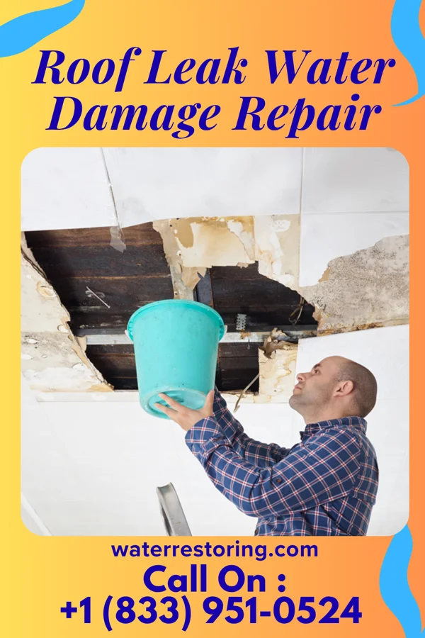 Roof Leak Water Damage Repair in Hornsby, TN
